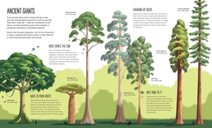 high: soar to new heights - Ảnh 4