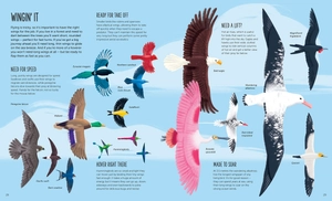 high: soar to new heights - Ảnh 7