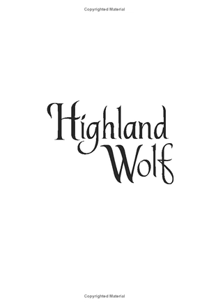 highland brides 10: highland wolf - Ảnh 6