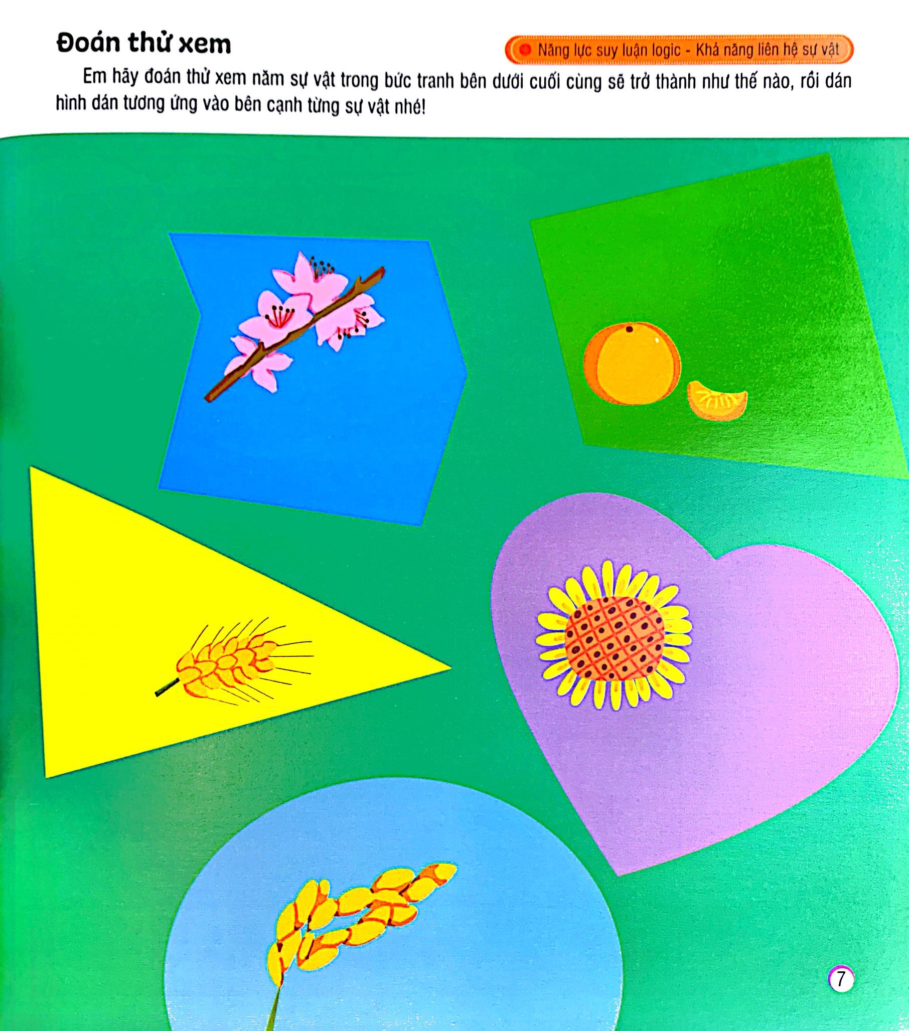 hình dán sáng tạo - phát triển iq và eq - rèn luyện khả năng suy luận logic - Ảnh 6