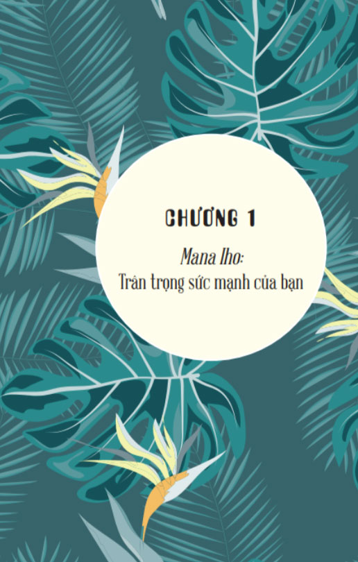 hoℹoponopono: sống như người hawaii - chấp nhận, biết ơn và tha thứ - Ảnh 3