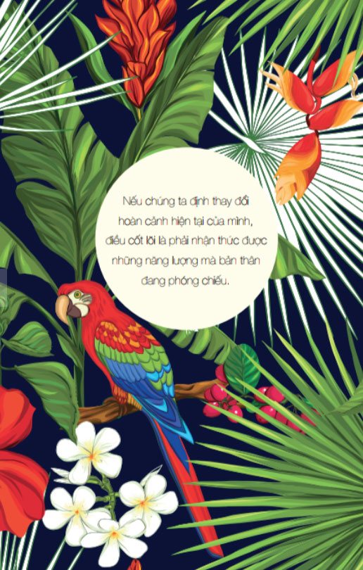 hoℹoponopono: sống như người hawaii - chấp nhận, biết ơn và tha thứ - Ảnh 5