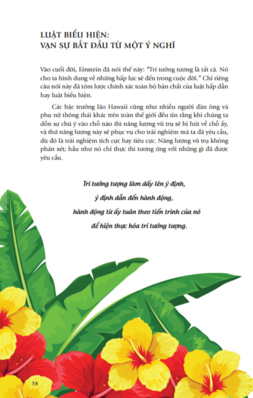 hoℹoponopono: sống như người hawaii - chấp nhận, biết ơn và tha thứ - Ảnh 8