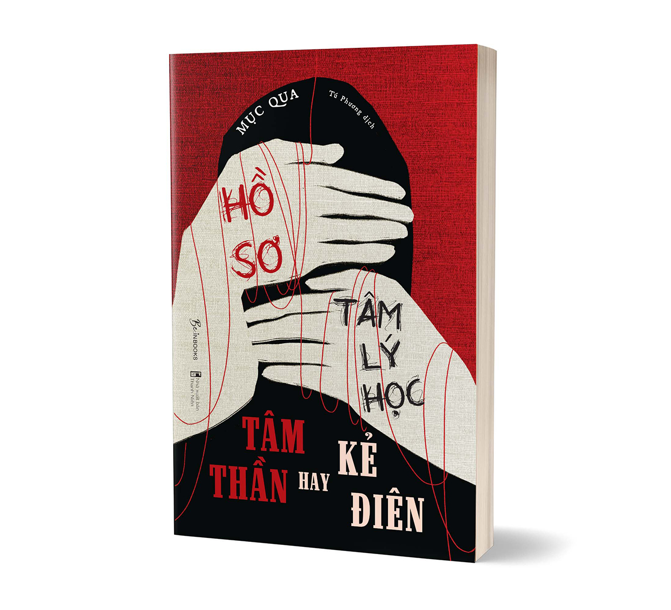 hồ sơ tâm lý học tâm thần hay kẻ điên - Ảnh 5