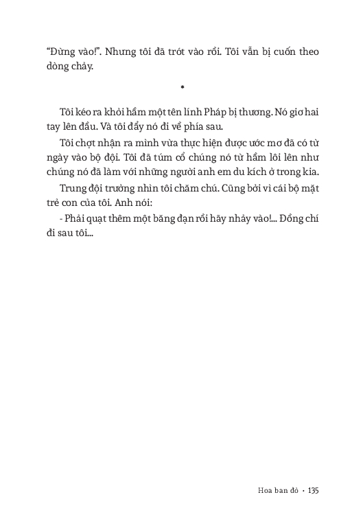 hoa ban đỏ - Ảnh 11