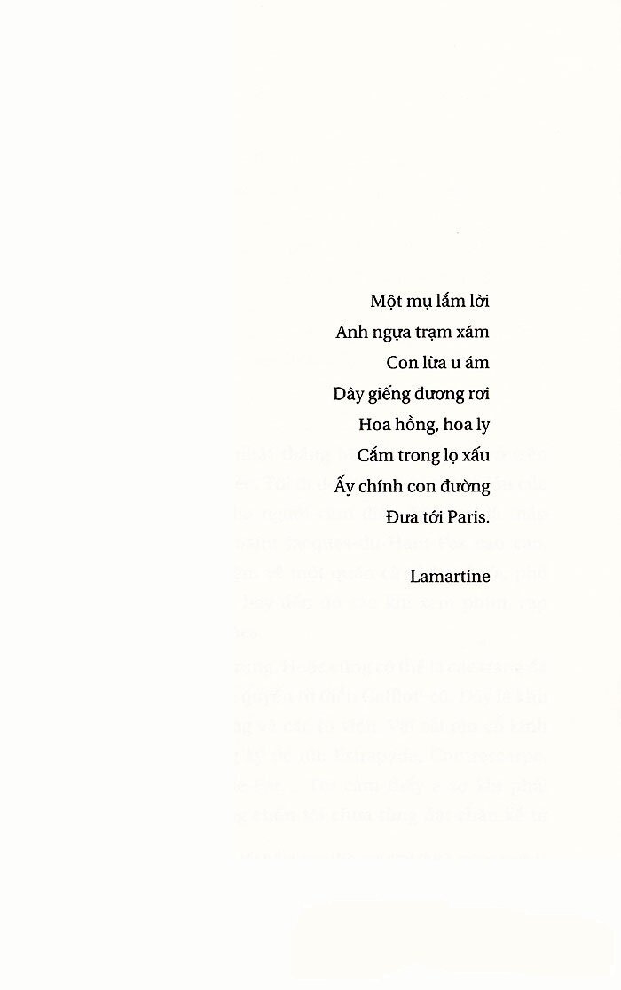 hoa của phế tích - Ảnh 3