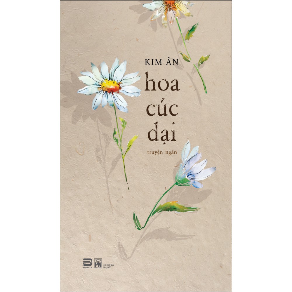 hoa cúc dại - Ảnh 3