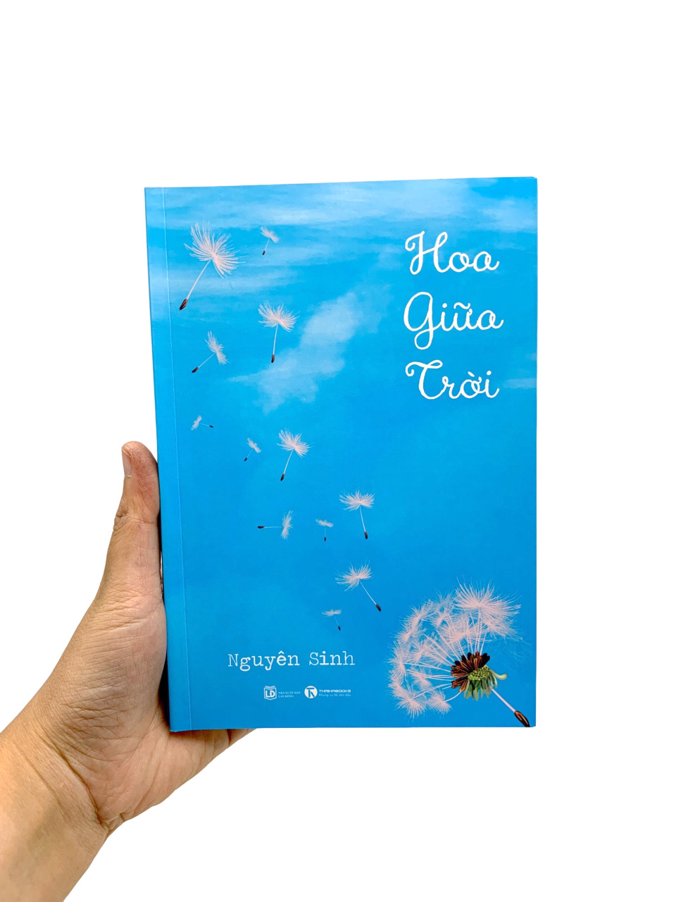 hoa giữa trời - Ảnh 9