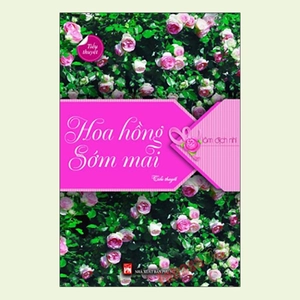 hoa hồng sớm mai - Ảnh 2