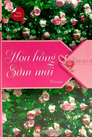 hoa hồng sớm mai - Ảnh 3