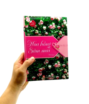 hoa hồng sớm mai - Ảnh 8