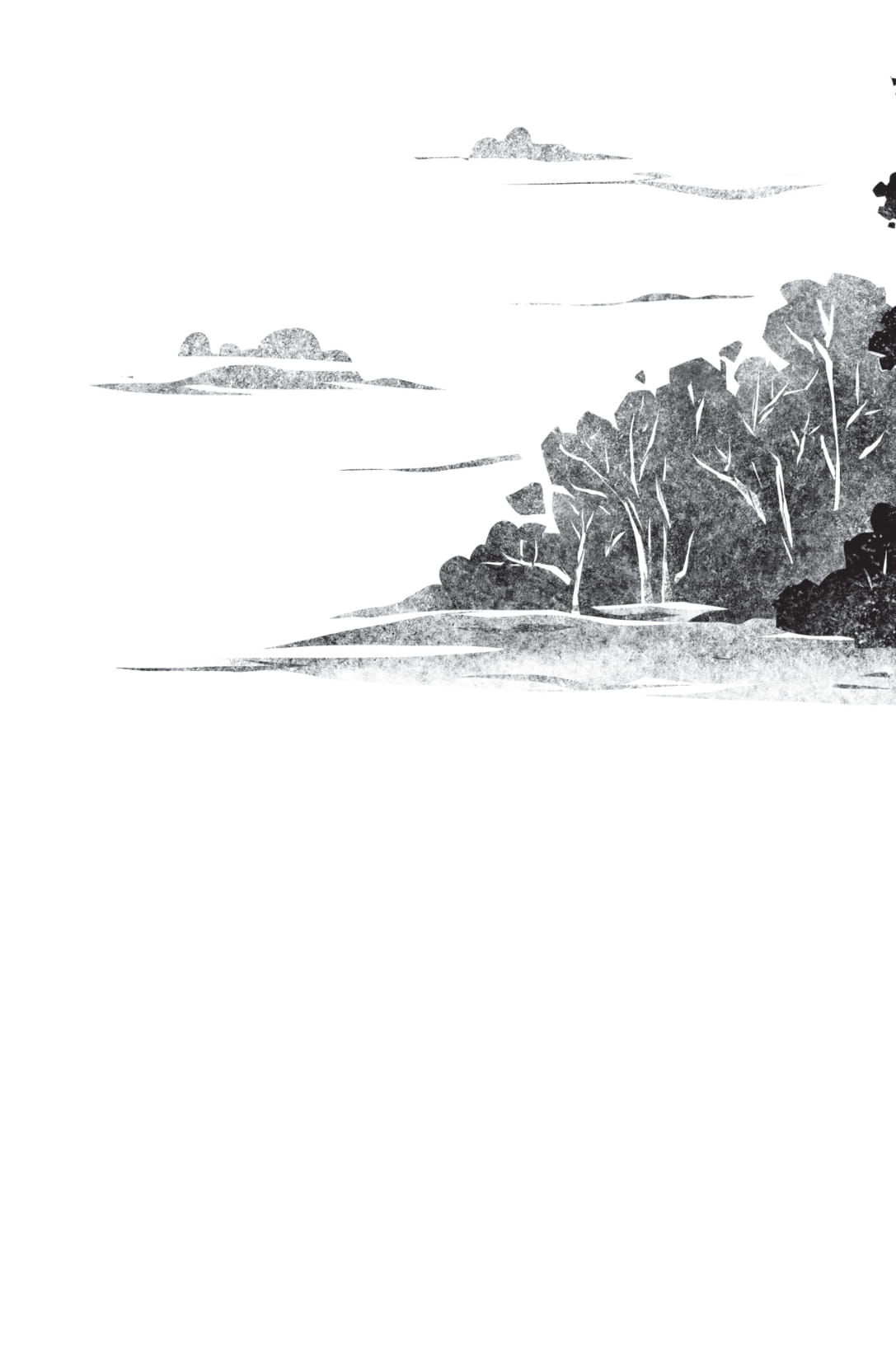 hoa hướng dương (tái bản 2025) - Ảnh 4