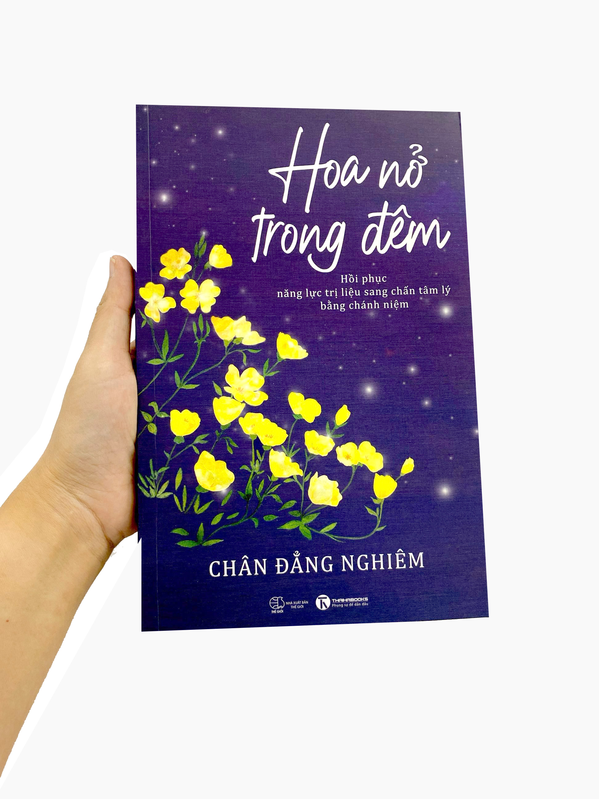 hoa nở trong đêm - Ảnh 18