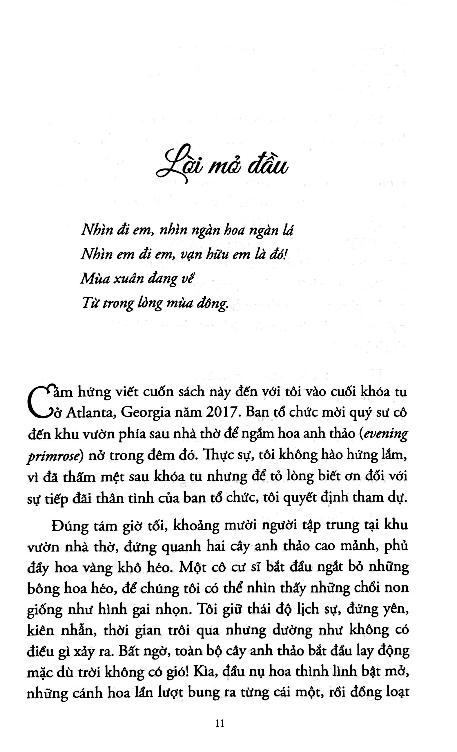 hoa nở trong đêm - Ảnh 7