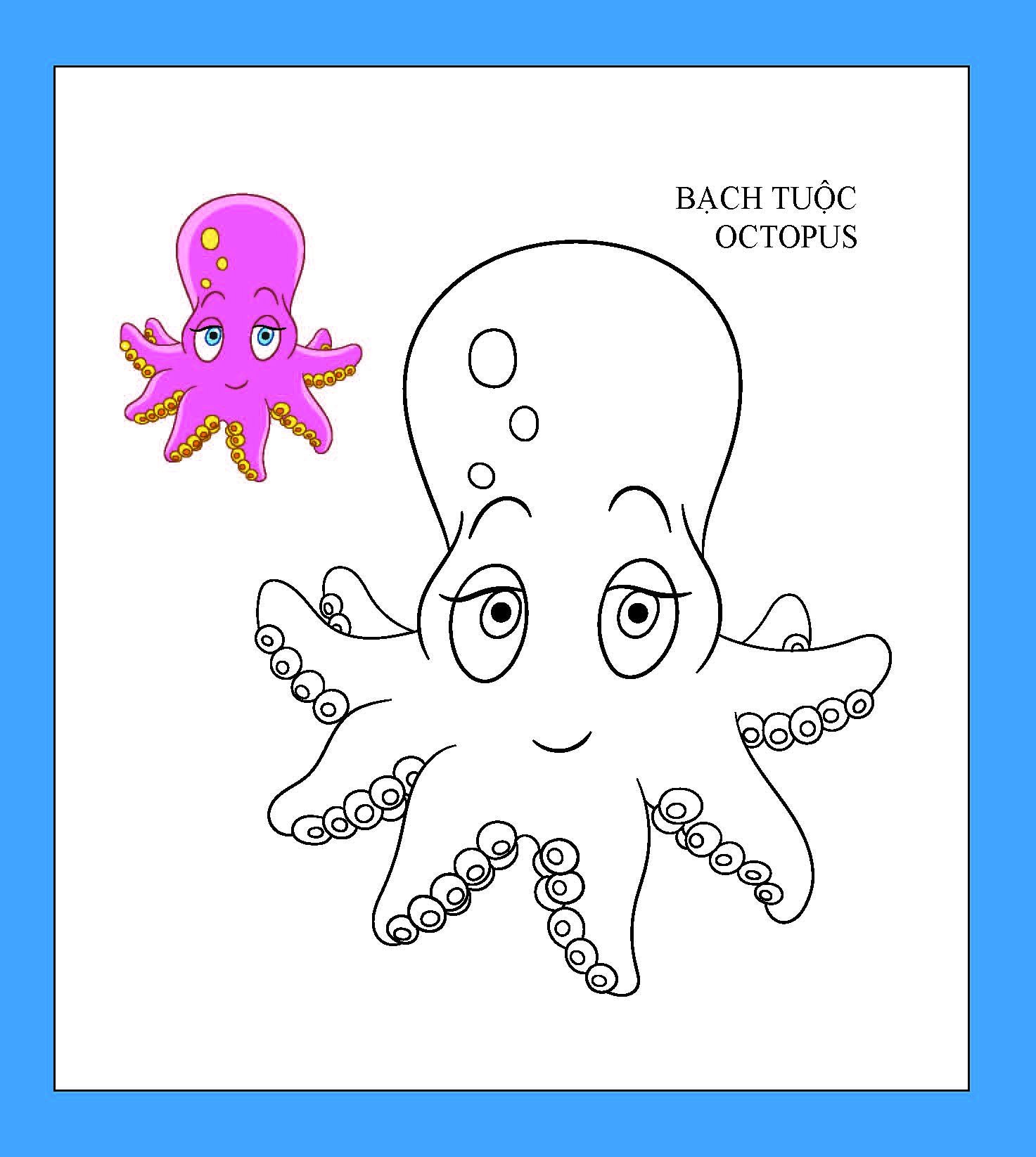 họa sĩ nhí tô màu - sinh vật biển (tái bản 2023) - Ảnh 5