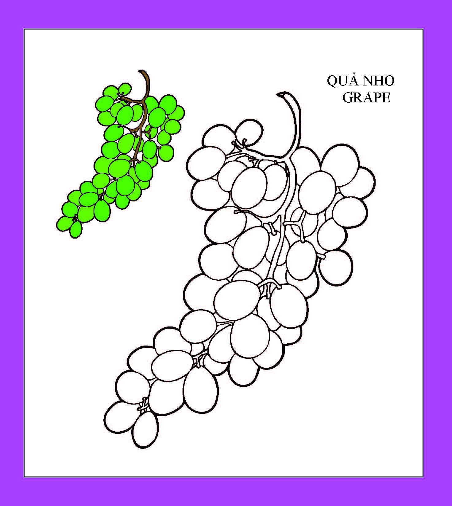 họa sĩ nhí tô màu - trái cây (tái bản 2023) - Ảnh 3