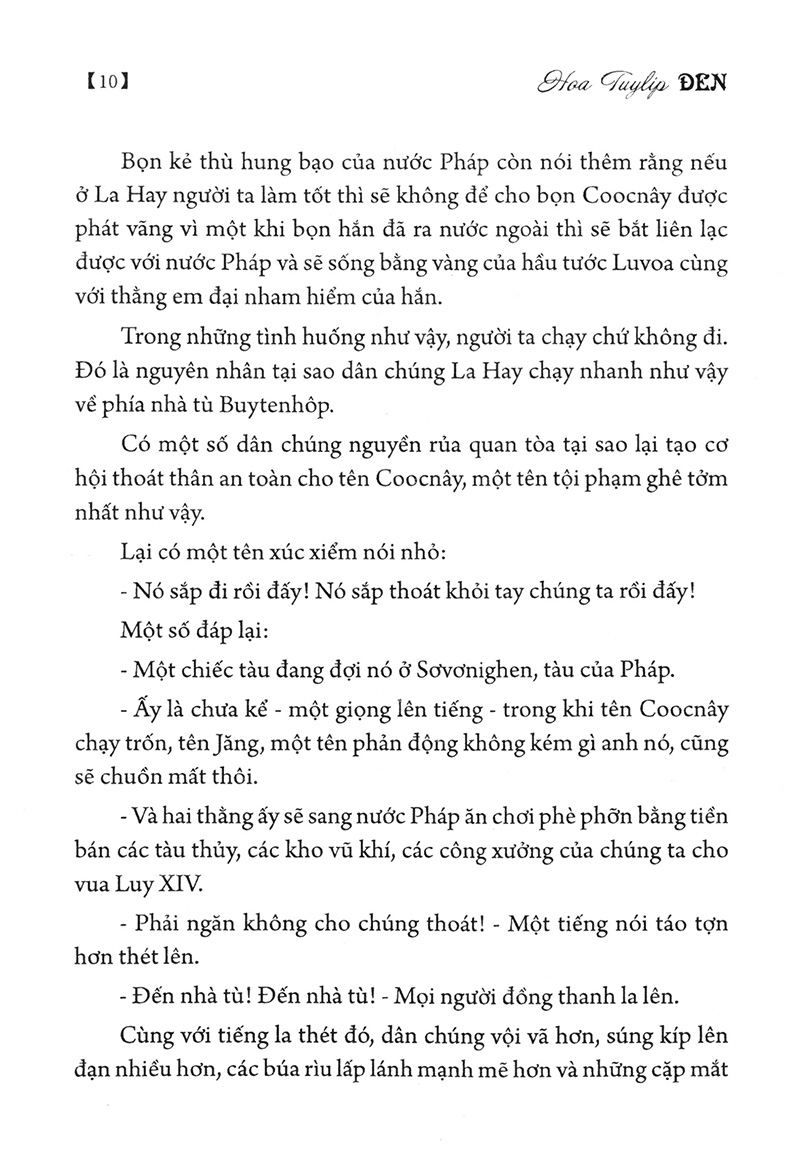 hoa tuylip đen - Ảnh 11