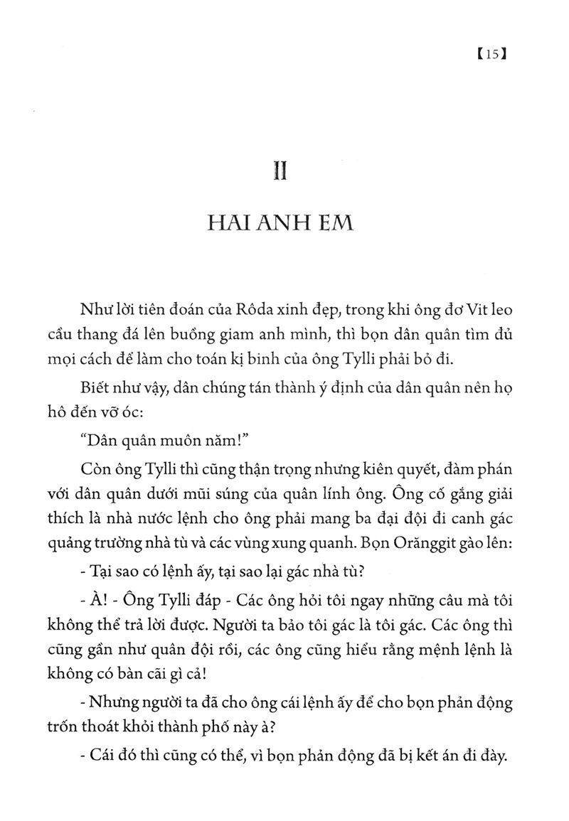 hoa tuylip đen - Ảnh 16