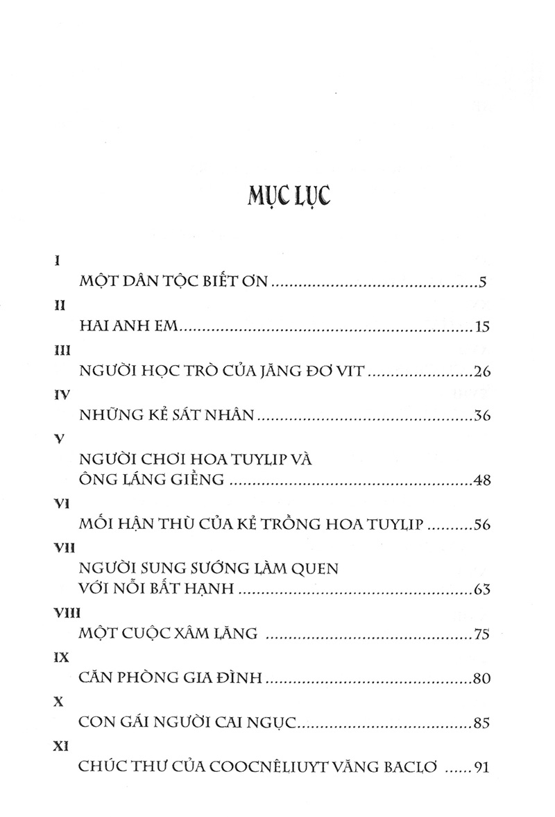 hoa tuylip đen - Ảnh 3