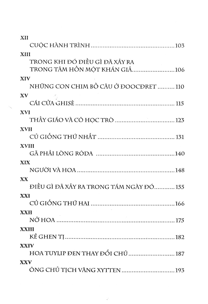 hoa tuylip đen - Ảnh 4