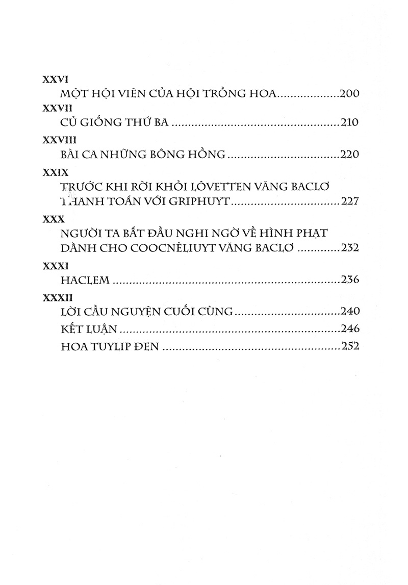 hoa tuylip đen - Ảnh 5
