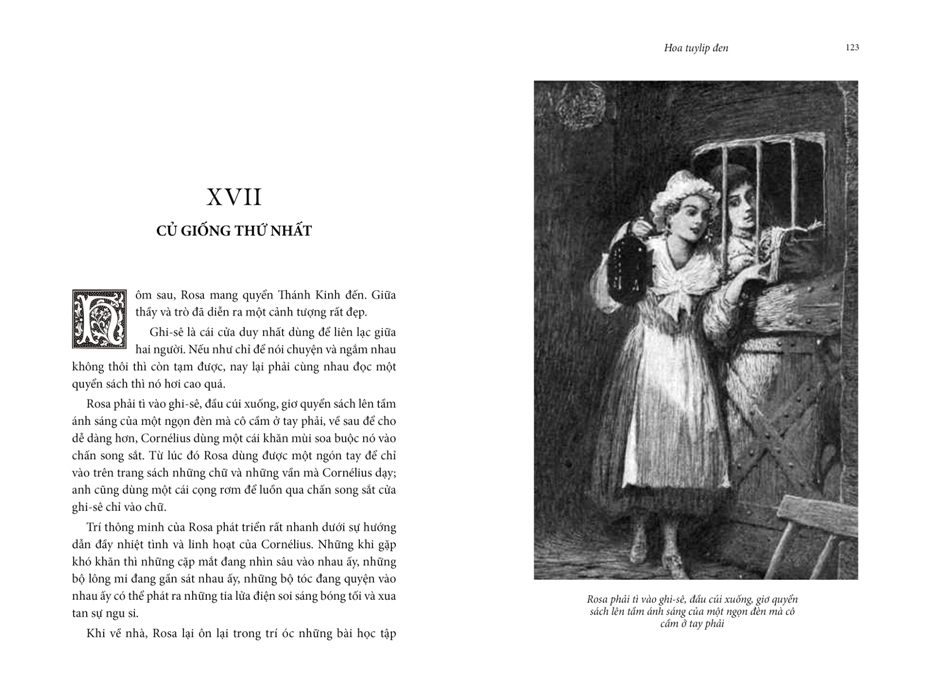 hoa tuylip đen (tái bản 2020) - Ảnh 2