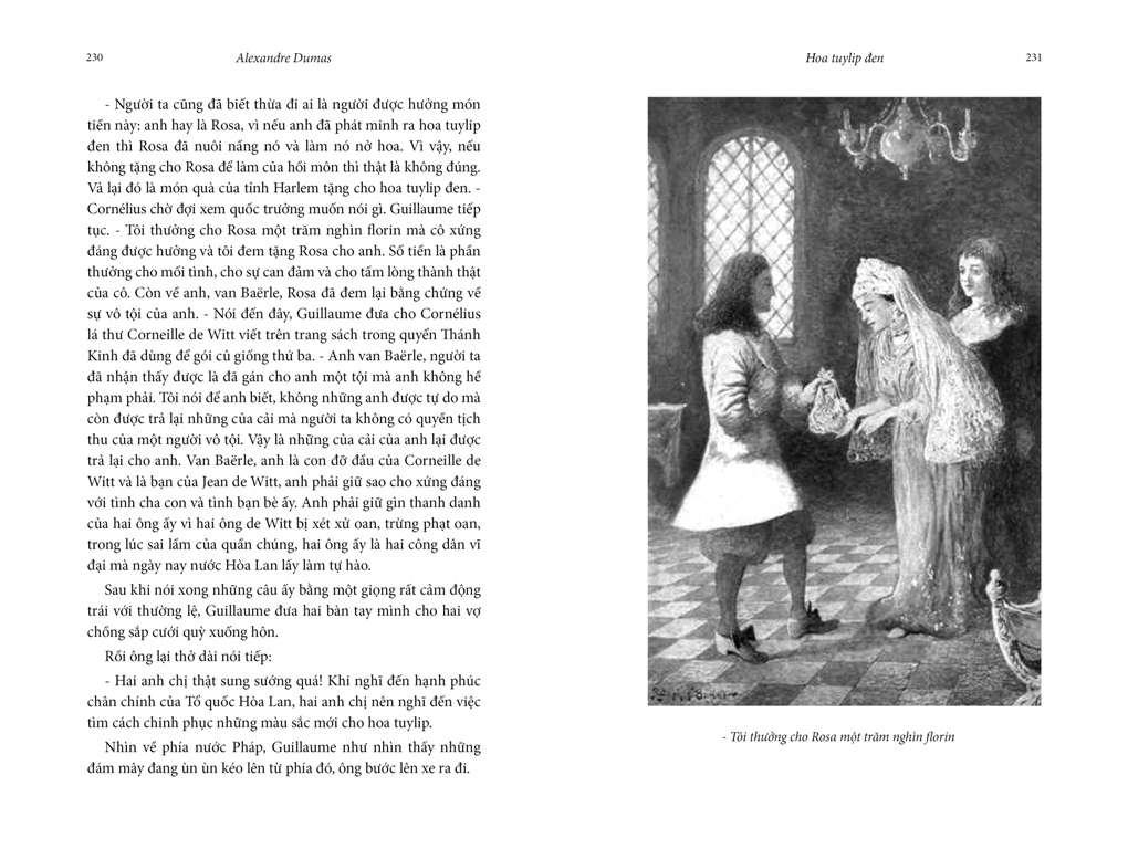 hoa tuylip đen (tái bản 2020) - Ảnh 3