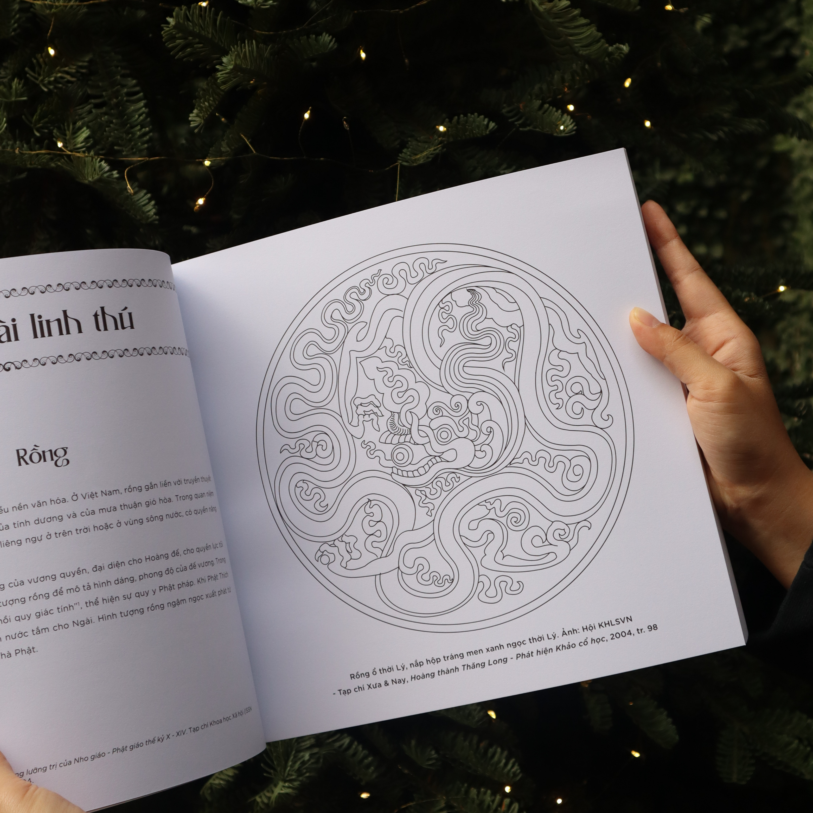 Hoa Van Dai Viet (Tai Ban 2026) - Ảnh 5