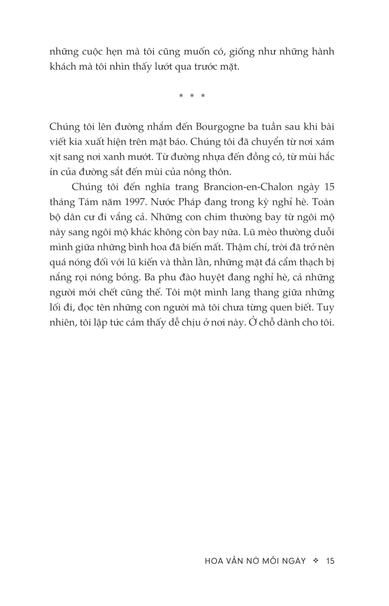 hoa vẫn nở mỗi ngày - Ảnh 11