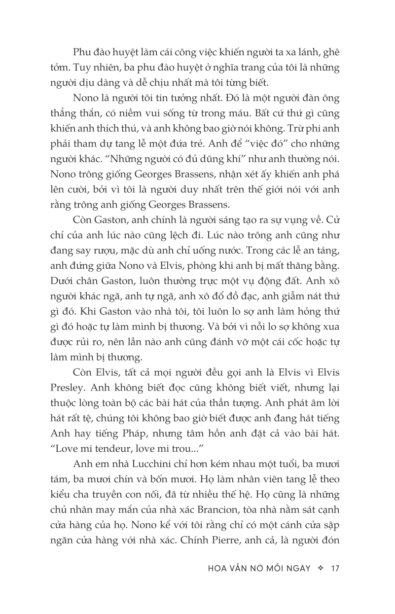 hoa vẫn nở mỗi ngày - Ảnh 13