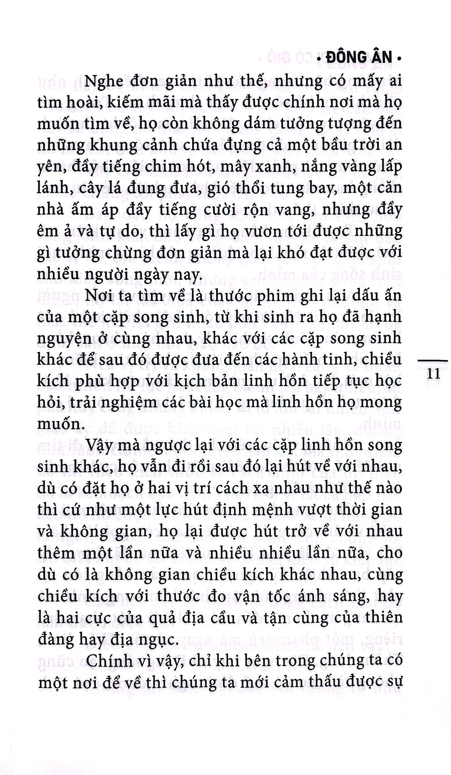 hoa về nơi có gió - Ảnh 7