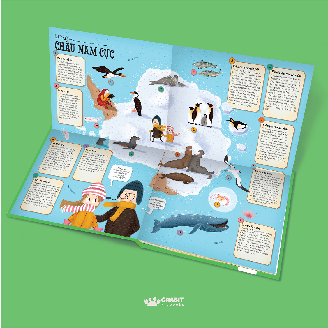 hỏa xa phiêu lưu ký - tìm hiểu các loài động vật trên thế giới - bìa cứng - Ảnh 5