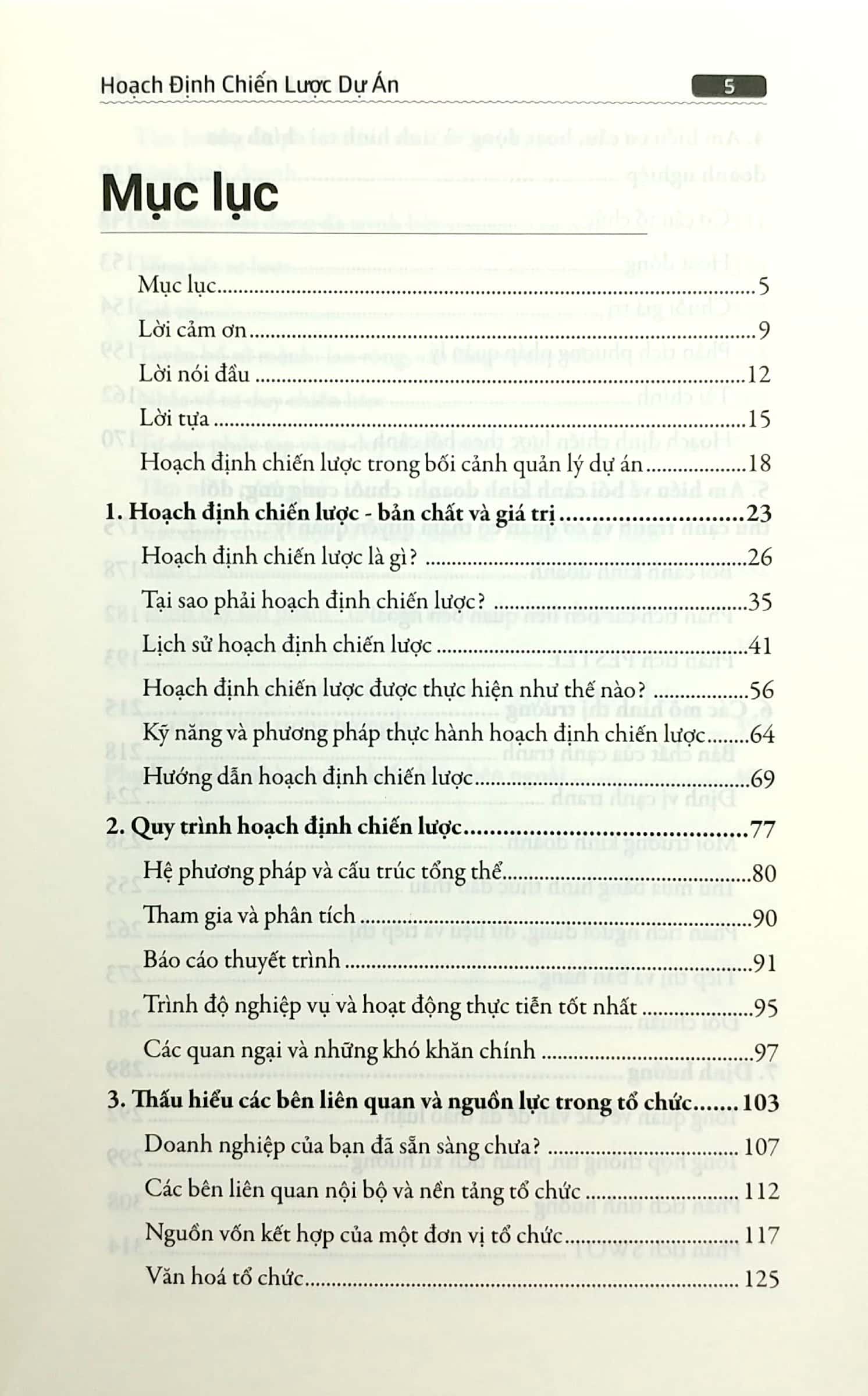 Hoạch Định Chiến Lược Dự Án - Ảnh 3