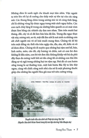 hoàng hoa thám - Ảnh 5