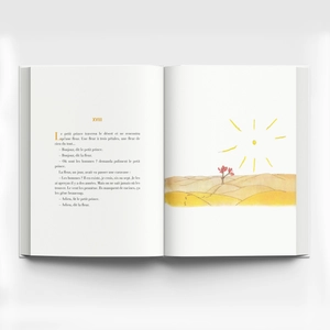 hoàng tử bé - le petit prince (song ngữ việt - pháp) - Ảnh 6