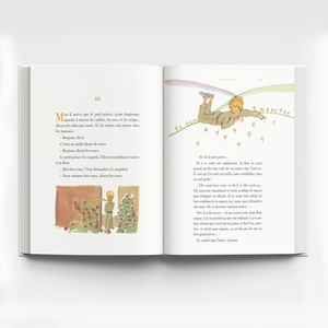 hoàng tử bé - le petit prince (song ngữ việt - pháp) - Ảnh 7