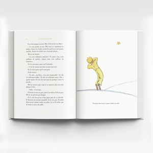 hoàng tử bé - le petit prince (song ngữ việt - pháp) - Ảnh 8