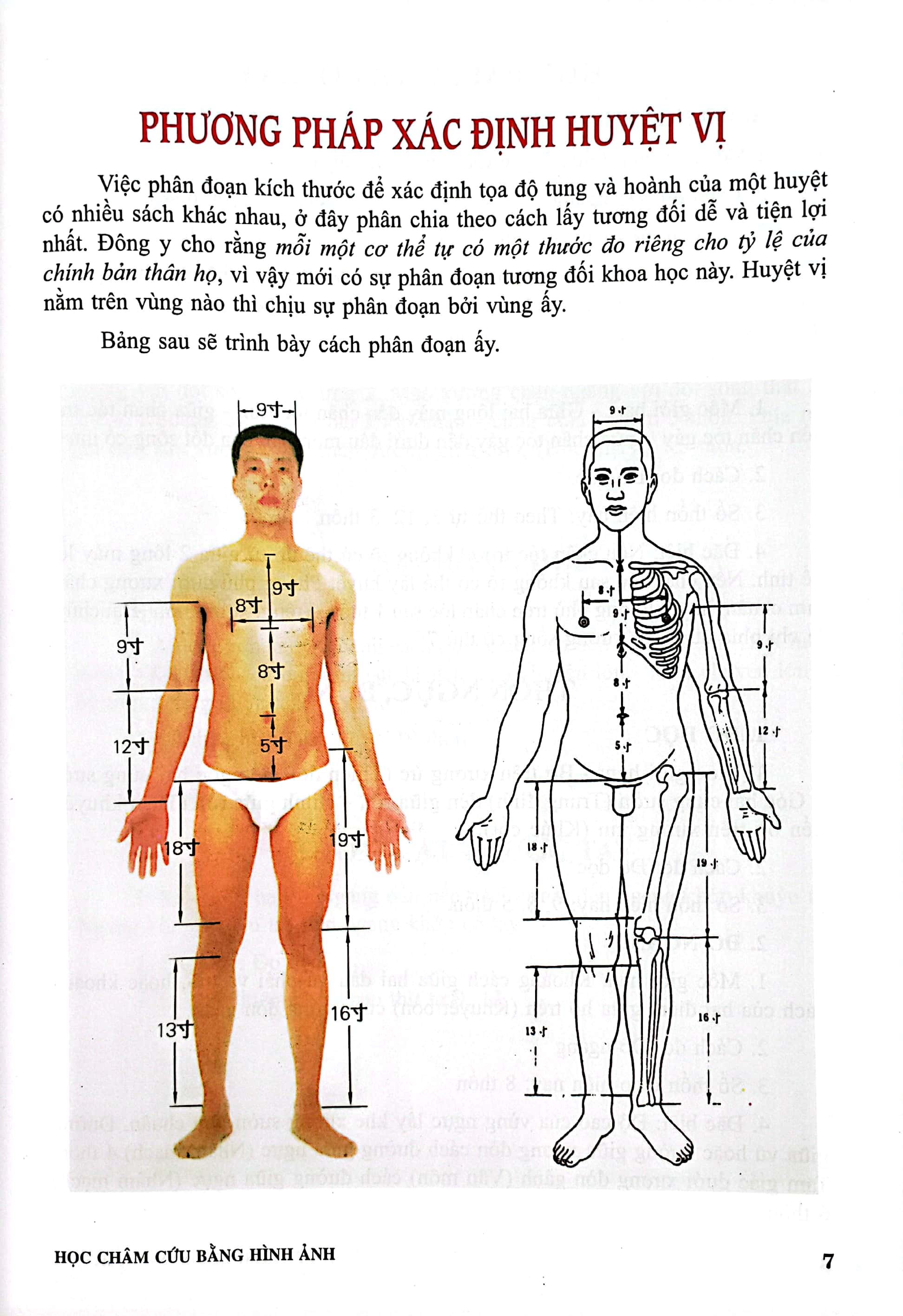 học châm cứu bằng hình ảnh (tái bản có chỉnh sửa bổ sung) - Ảnh 5
