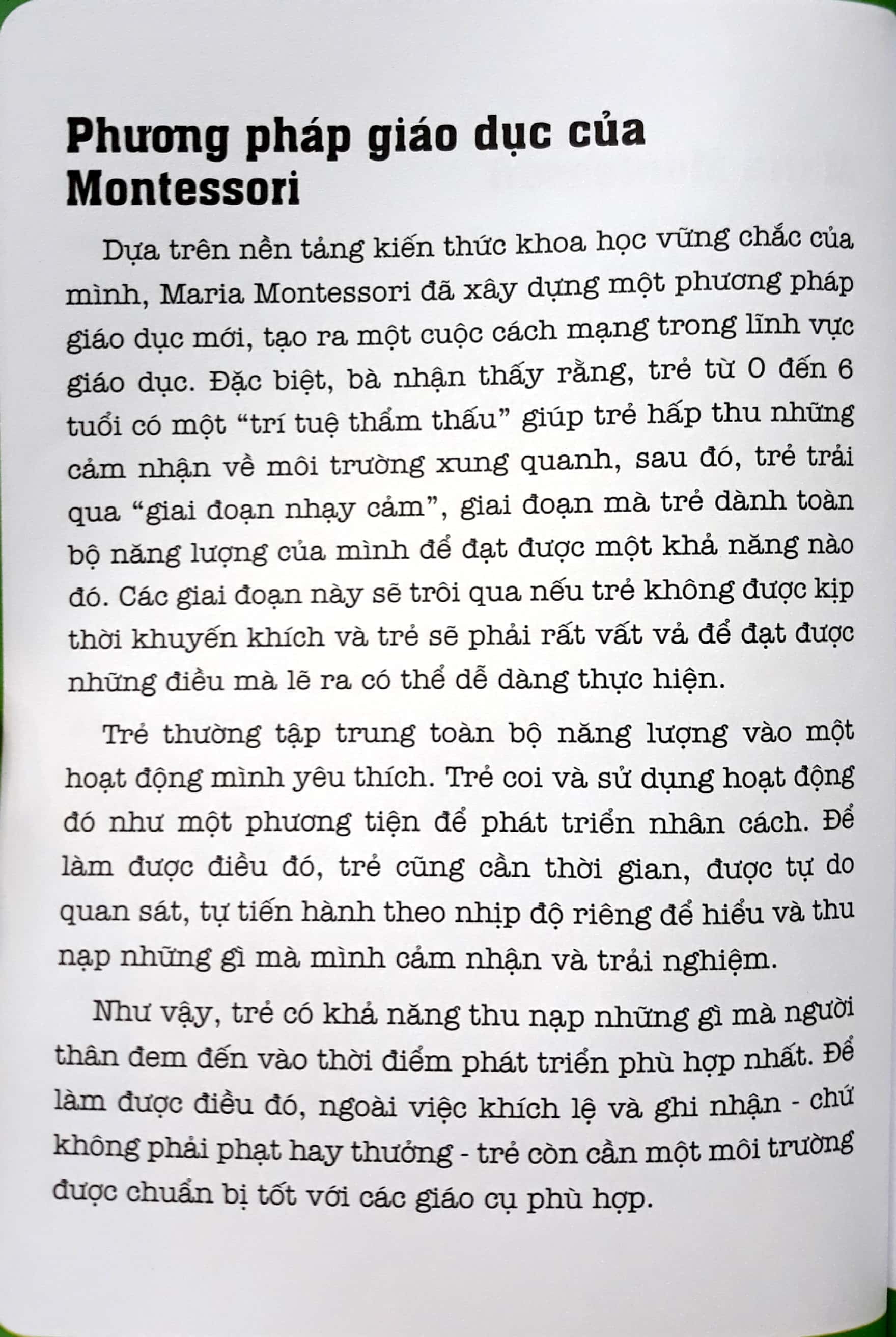 học montessori để dạy trẻ theo phương pháp montessori - 100 hoạt động montessori: cha mẹ nên chuẩn bị cho trẻ tập đọc và viết như thế nào? - Ảnh 7