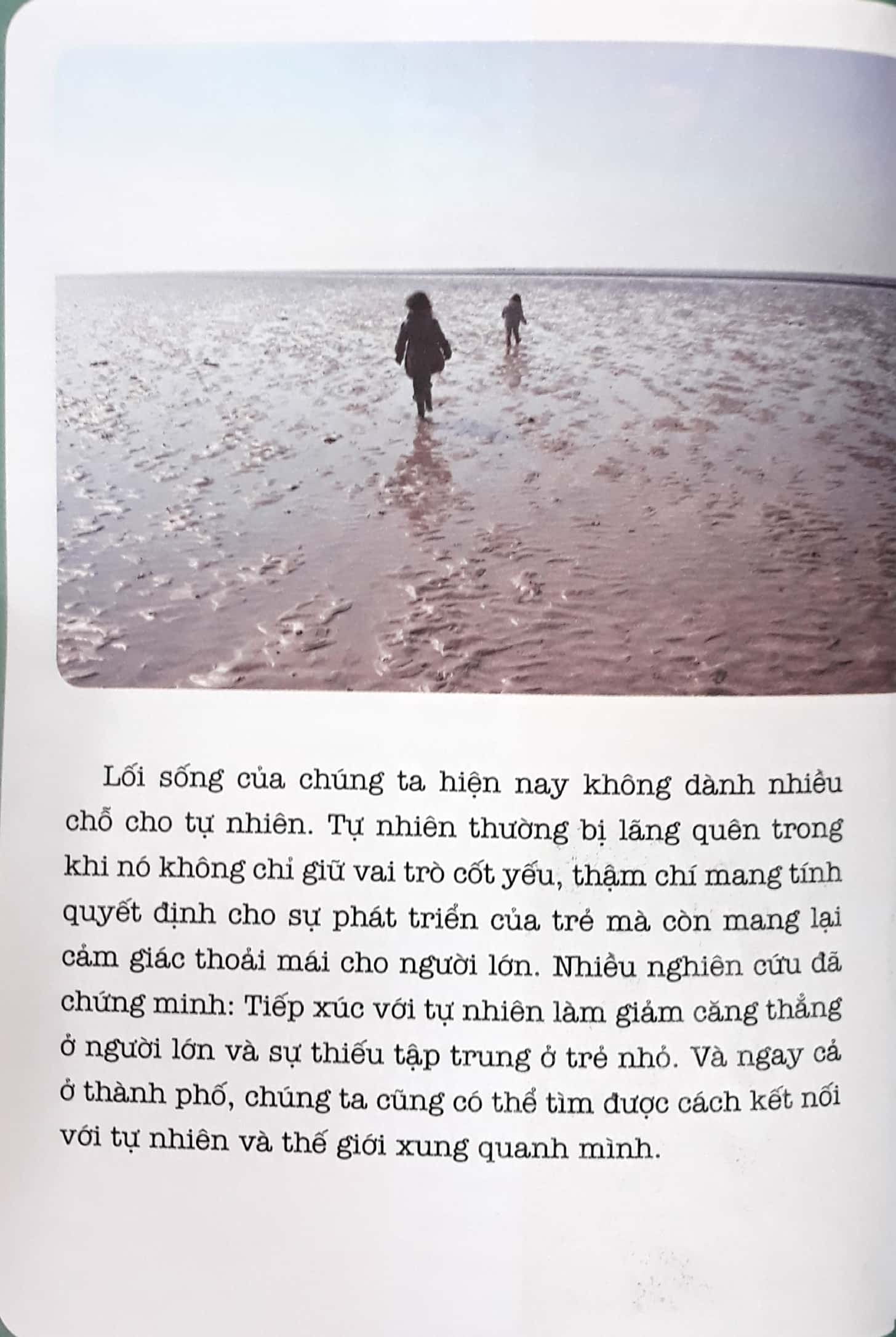 học montessori để dạy trẻ theo phương pháp montessori - 100 hoạt động montessori: con không muốn làm cây trong lồng kính - Ảnh 4