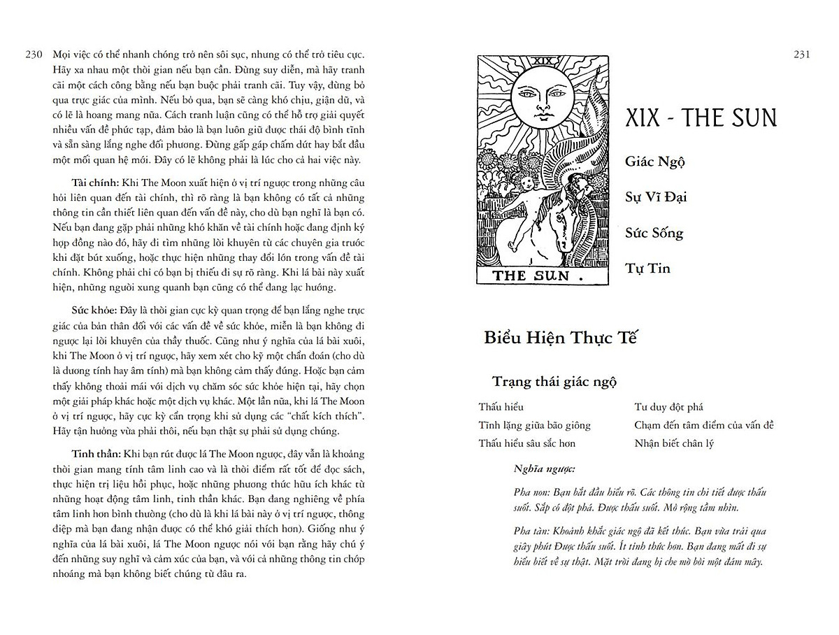 học tarot cho người mới - Ảnh 5