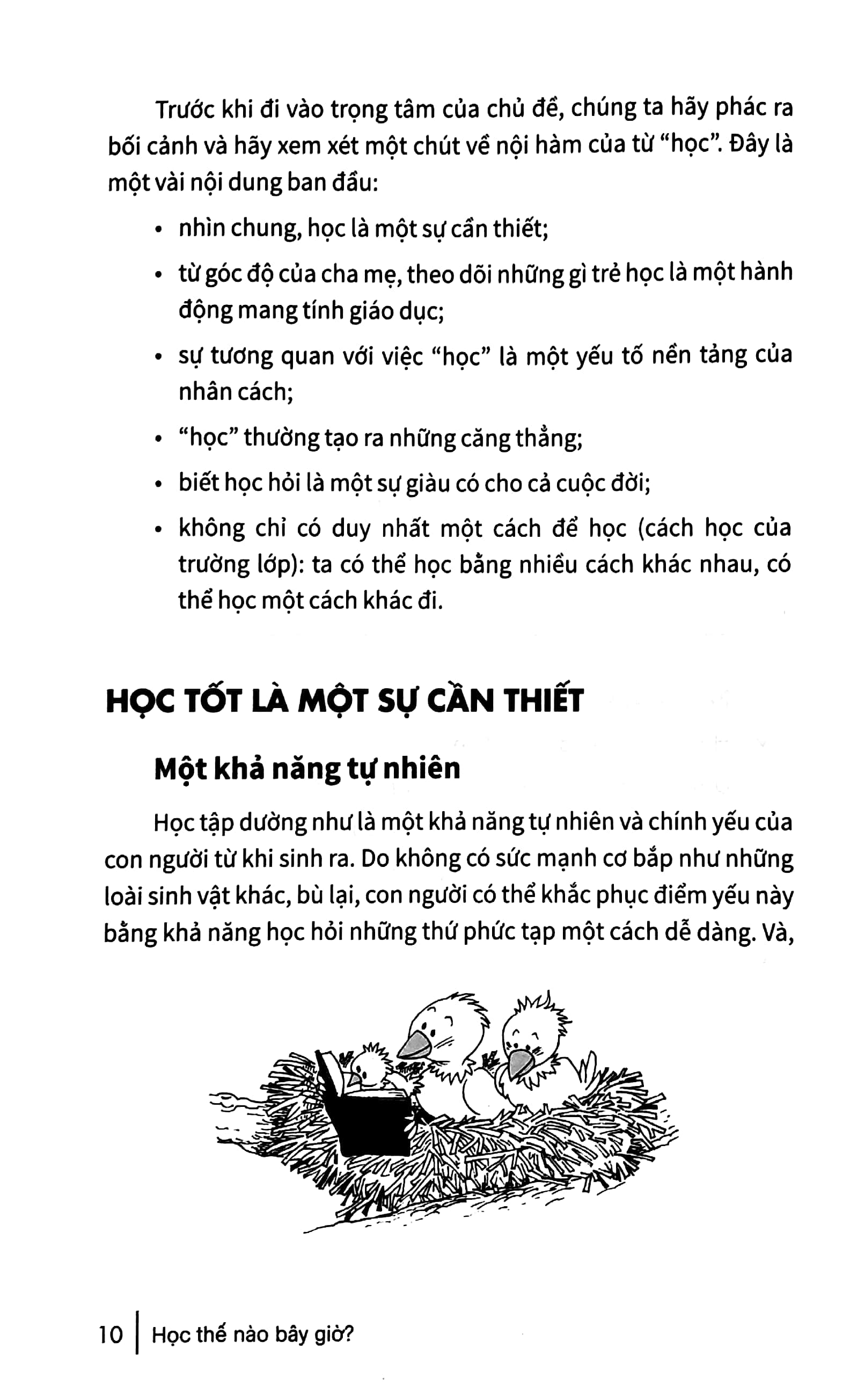 học thế nào bây giờ? - vận dụng 8 loại hình thông minh để giúp trẻ học tập tốt hơn - Ảnh 5