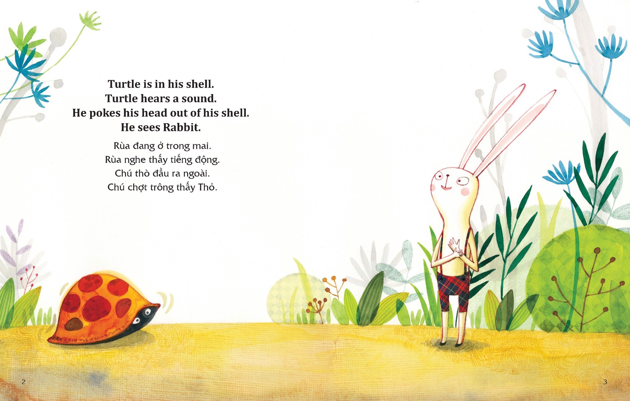 học tiếng anh cùng truyện ngụ ngôn aesop - thỏ và rùa - the rabbit and the turtle - Ảnh 2