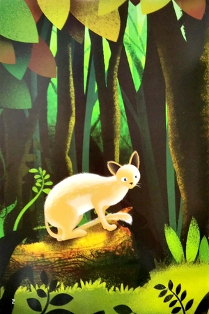 học toán qua truyện ngụ ngôn - cáo già và mèo rừng - Ảnh 3