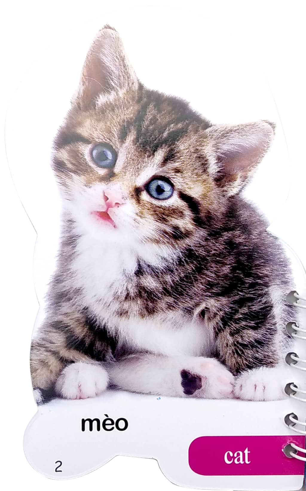 học từ theo chủ đề - động vật - Ảnh 3