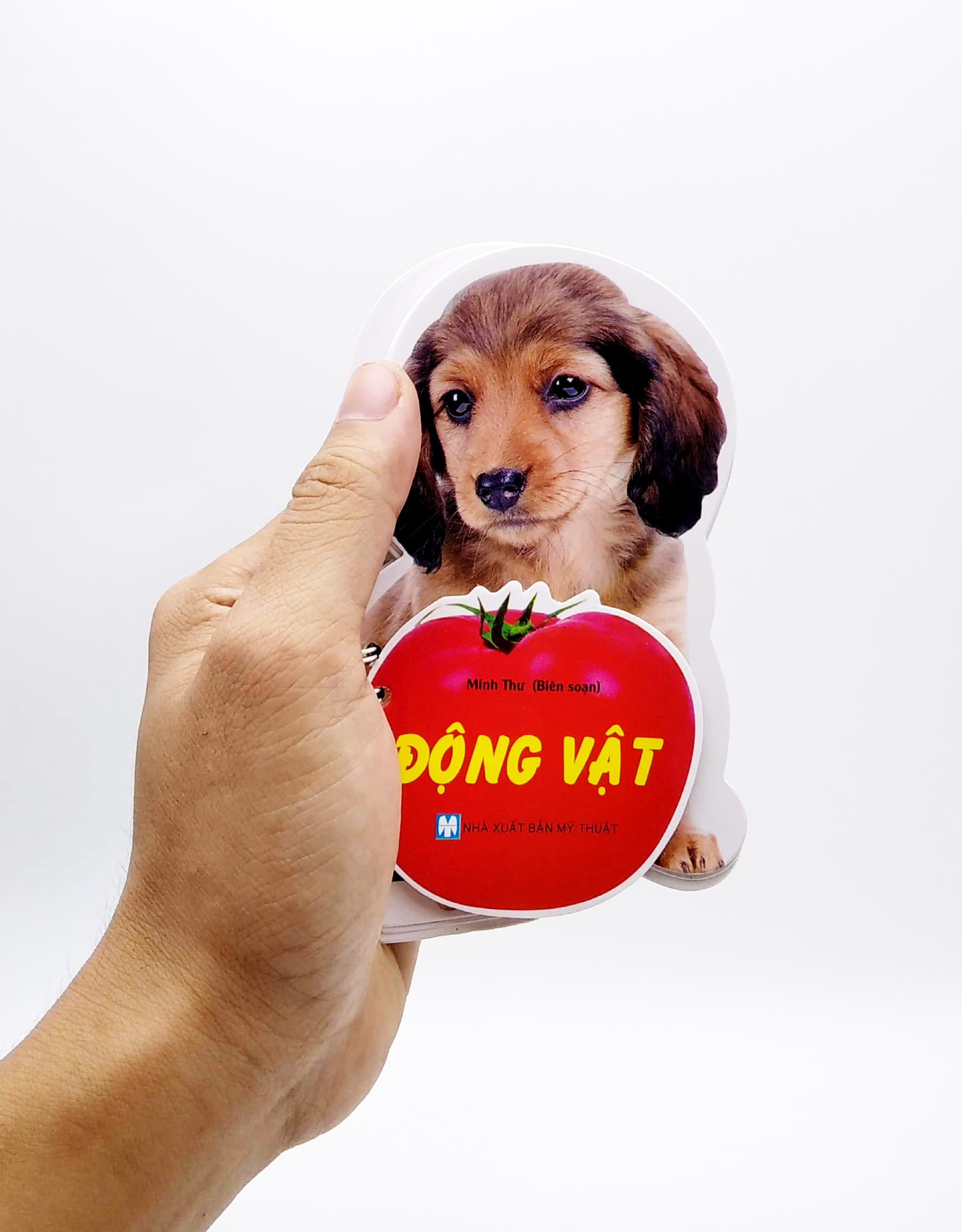 học từ theo chủ đề - động vật - Ảnh 7