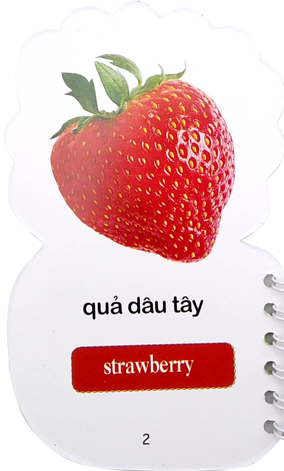 học từ theo chủ đề - rau củ quả - Ảnh 3