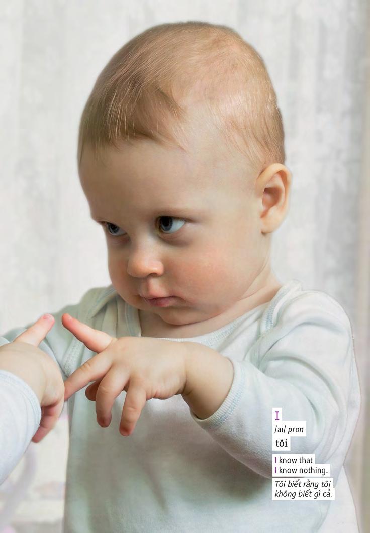 học tự vựng tiếng anh qua hình và ví dụ minh họa - Ảnh 11