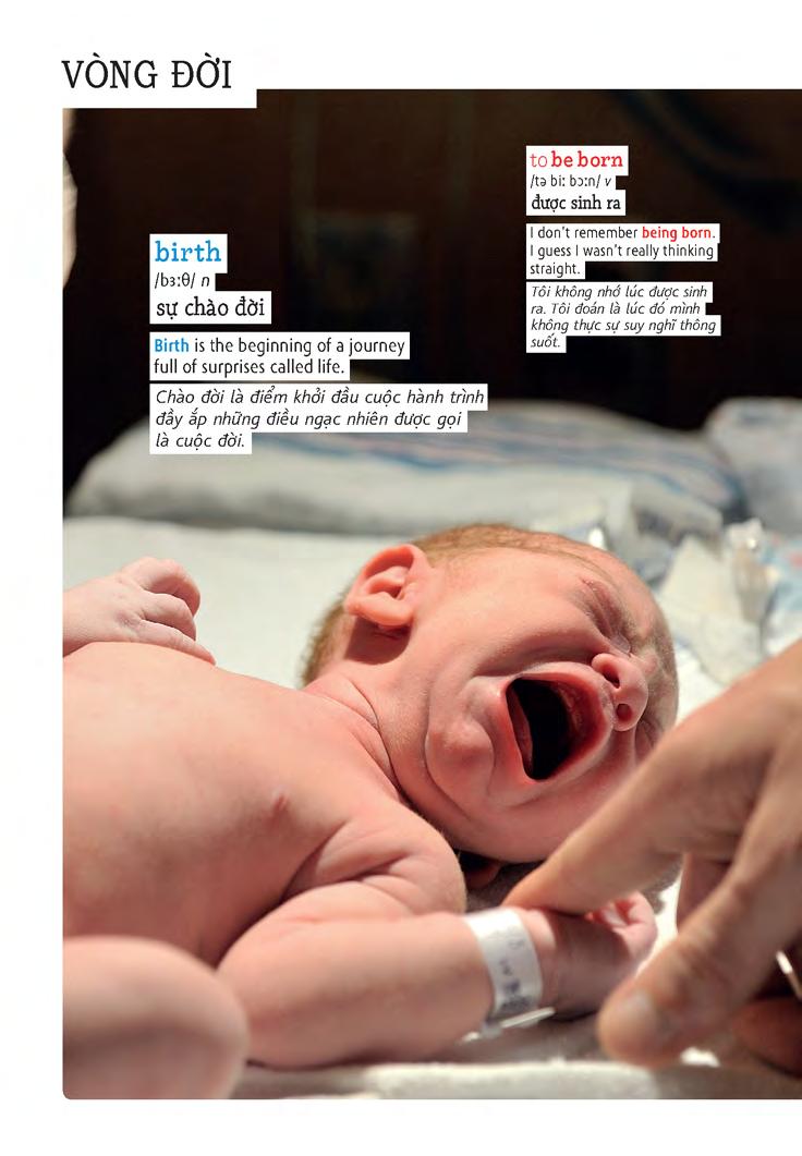 học tự vựng tiếng anh qua hình và ví dụ minh họa - Ảnh 12