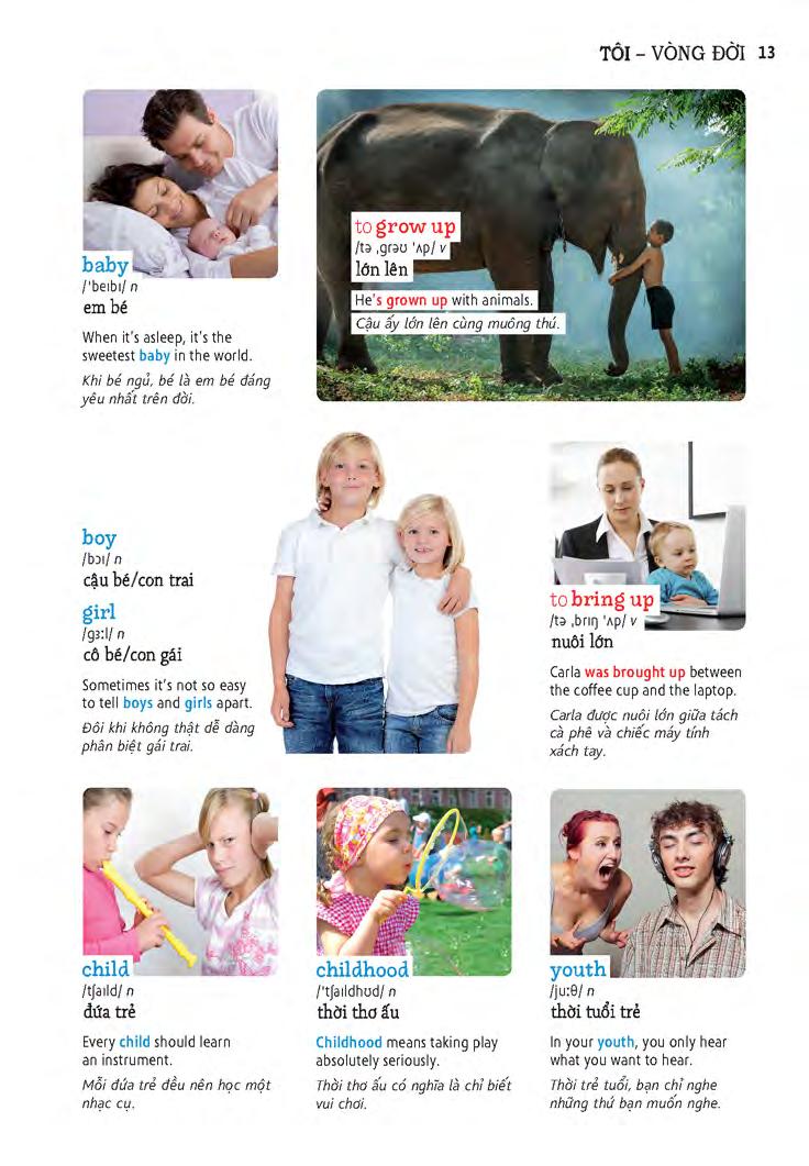 học tự vựng tiếng anh qua hình và ví dụ minh họa - Ảnh 13